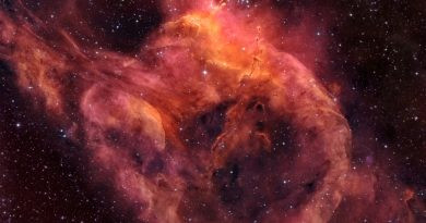 NGC 3572 et les têtards du sud