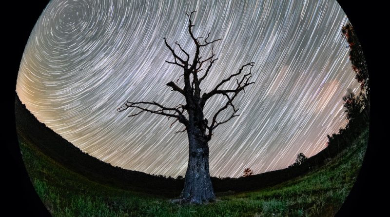 Des racines sur une planète en rotation