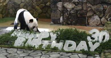 30e anniversaire de Panda