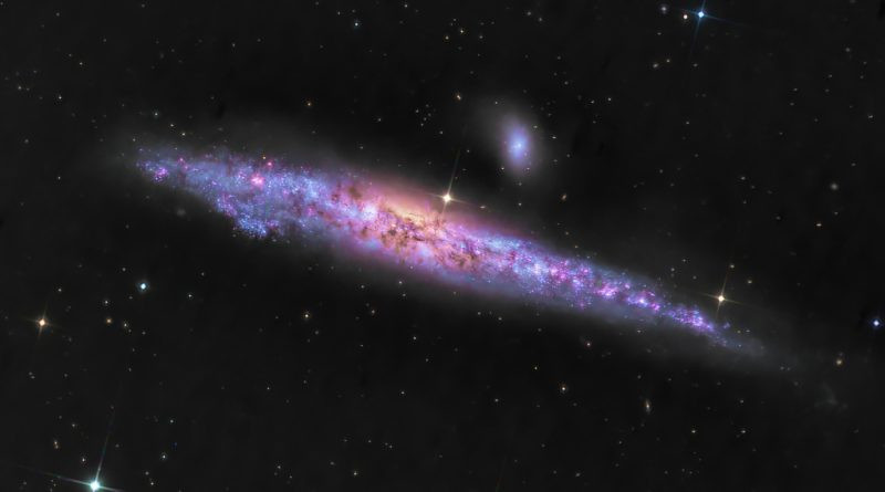 NGC 4631 : la galaxie de la baleine
