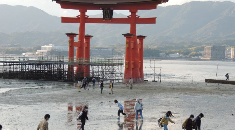 Promenade au sanctuaire d'Itsukushima