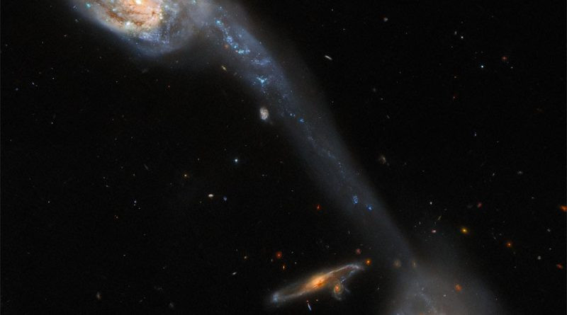 Galaxies : Wild's Triplet from Hubble