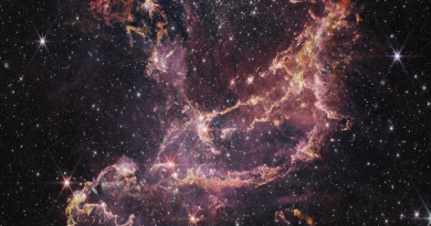 Amas de jeunes étoiles NGC 346