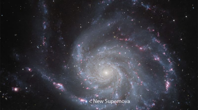 Découverte d'une supernova dans la galaxie spirale M101